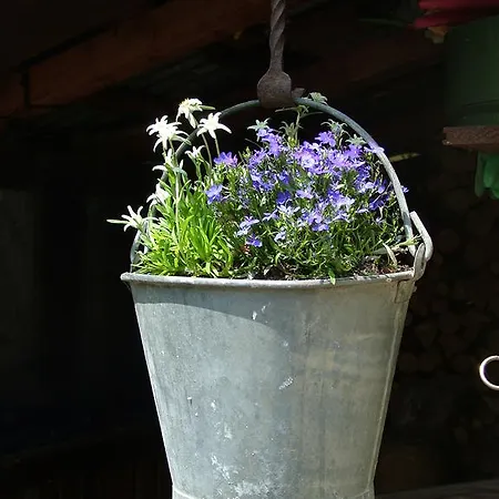 Ξενοδοχείο Marguareis Limone Piemonte