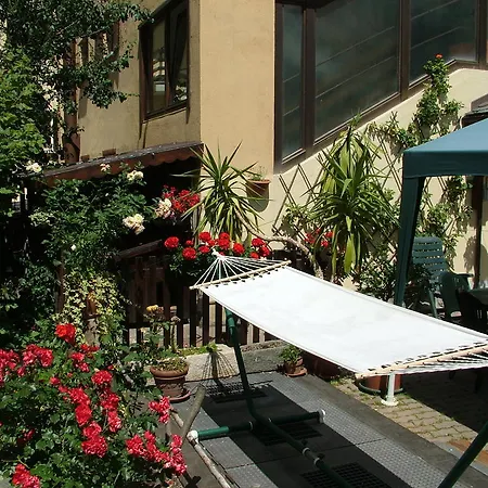 Hotel Marguareis 3*